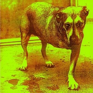 Meet your Posher, ushanka!